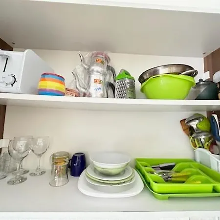 Tempo Sea Suits 키레니아